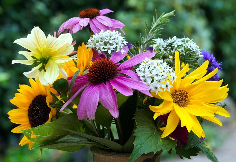 Botanical Centerpieces