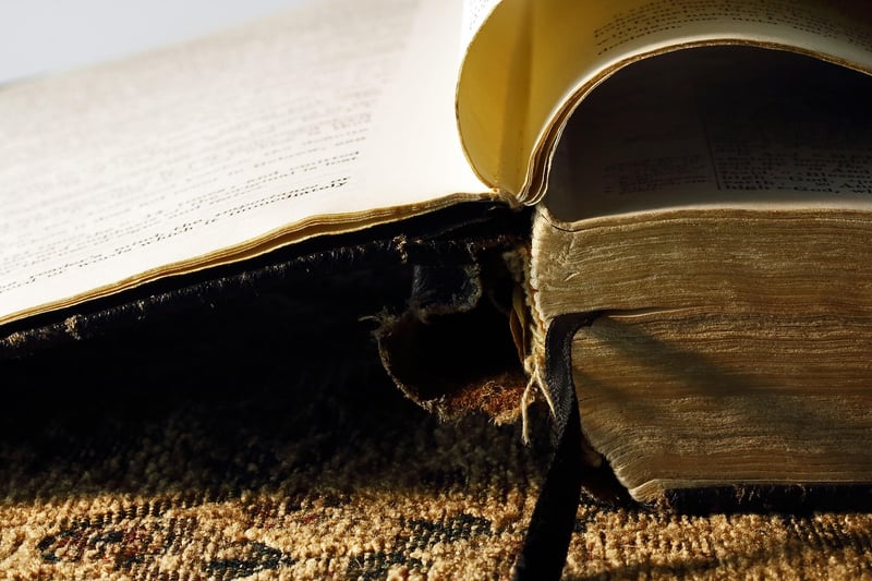 Nature-Inspired Menus